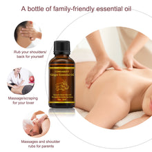 Load image into Gallery viewer, Beauty Skin Care Ginger Massage Essential Oil