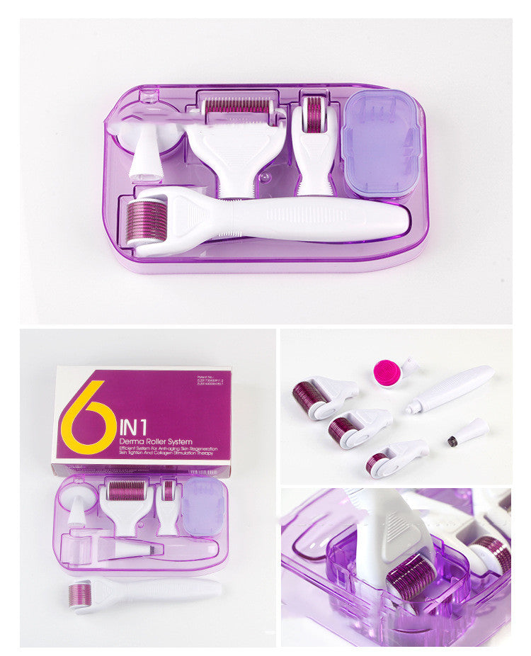 DermaKit™ 6-in-1 Derma Roller Kit Facial Microneedling Set Facial Skin Care Tools Gift Set